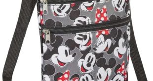 Best Bag to Carry at Disney World