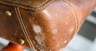 How to Remove Mold from Bags? (Easy Steps)