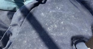 How to Remove Mold from My Backpack