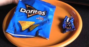 What Happens When You Put a Chip Bag in a Microwave?