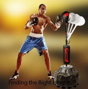 What is the Proper Height for a Heavy Bag Mma